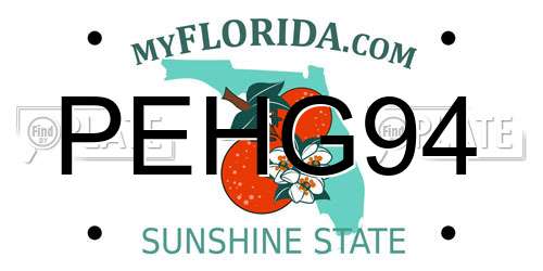 PEHG94 Florida License Plate