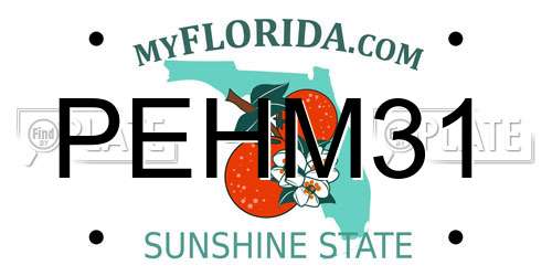 PEHM31 Florida License Plate