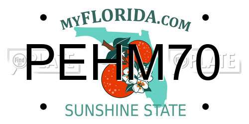 PEHM70 Florida License Plate