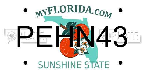 PEHN43 Florida License Plate