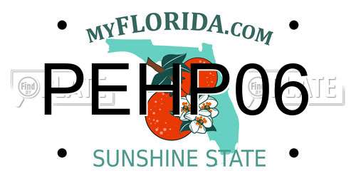 PEHP06 Florida License Plate
