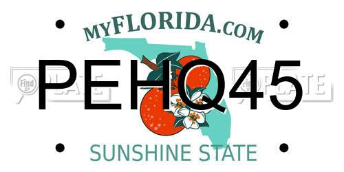 PEHQ45 Florida License Plate