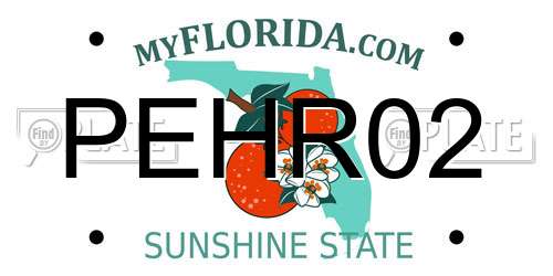 PEHR02 Florida License Plate