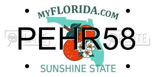 PEHR58 Florida License Plate