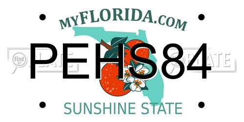 PEHS84 Florida License Plate