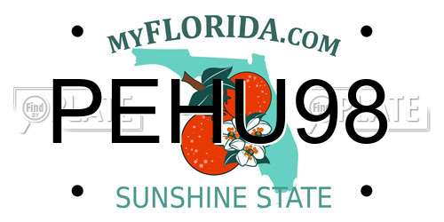 PEHU98 Florida License Plate