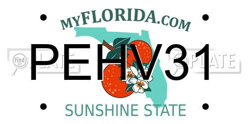 PEHV31 Florida License Plate