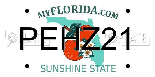 PEHZ21 Florida License Plate