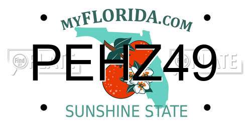 PEHZ49 Florida License Plate