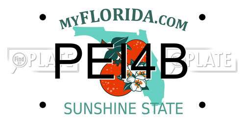 PEI4B Florida License Plate