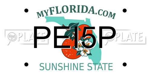 PEI5P Florida License Plate