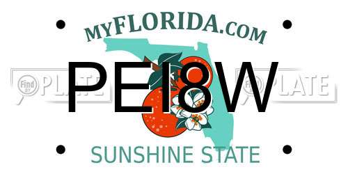 PEI8W Florida License Plate