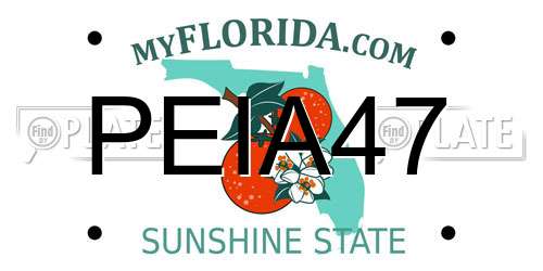 PEIA47 Florida License Plate