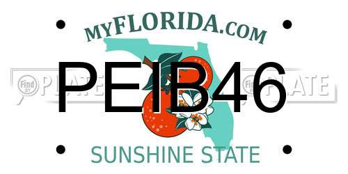 PEIB46 Florida License Plate