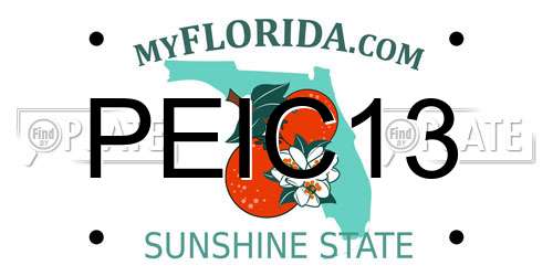 PEIC13 Florida License Plate