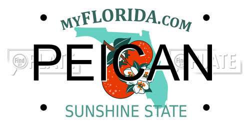PEICAN Florida License Plate