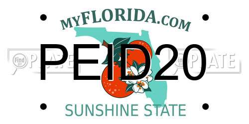 PEID20 Florida License Plate