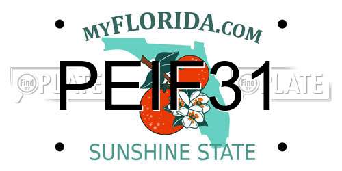 PEIF31 Florida License Plate