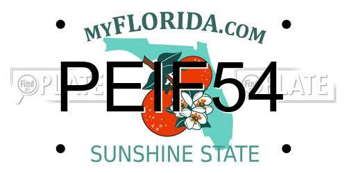 PEIF54 Florida License Plate
