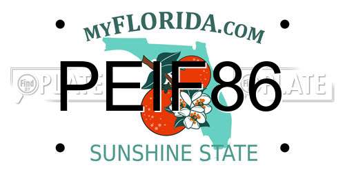 PEIF86 Florida License Plate