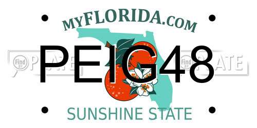 PEIG48 Florida License Plate