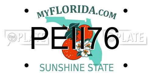 PEII76 Florida License Plate