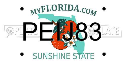PEIJ83 Florida License Plate