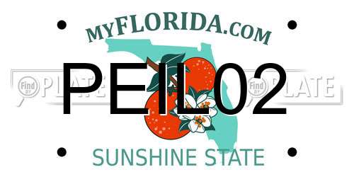 PEIL02 Florida License Plate