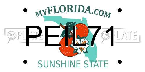 PEIL71 Florida License Plate