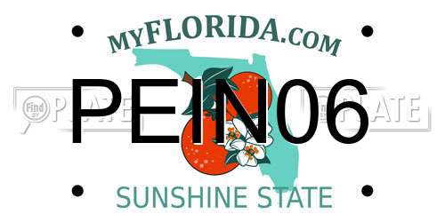 PEIN06 Florida License Plate