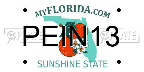 PEIN13 Florida License Plate