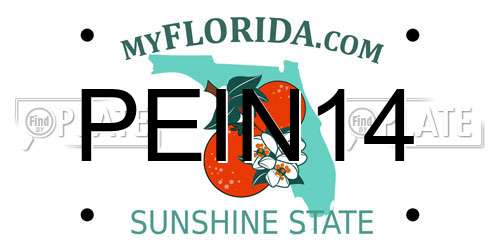 PEIN14 Florida License Plate