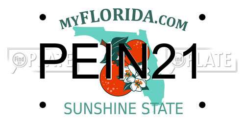PEIN21 Florida License Plate