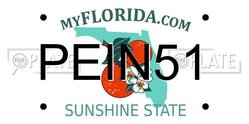 PEIN51 Florida License Plate