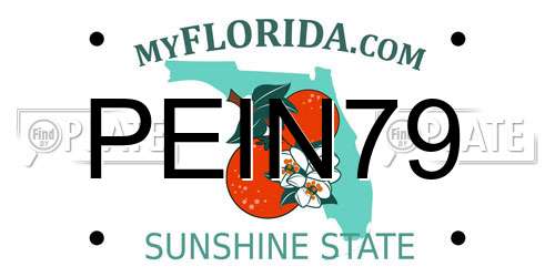 PEIN79 Florida License Plate
