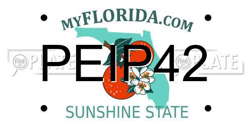 PEIP42 Florida License Plate