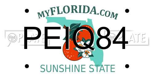 PEIQ84 Florida License Plate