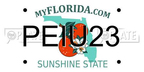 PEIU23 Florida License Plate