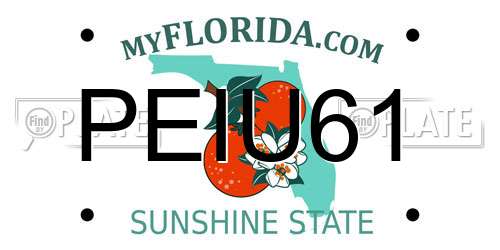 PEIU61 Florida License Plate