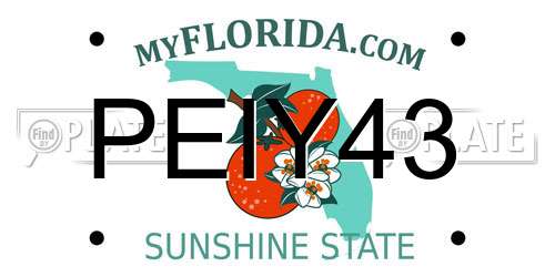 PEIY43 Florida License Plate