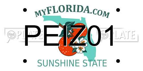 PEIZ01 Florida License Plate