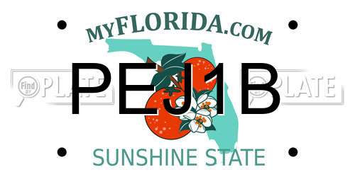 PEJ1B Florida License Plate