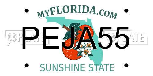 PEJA55 Florida License Plate