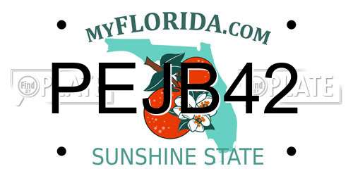 PEJB42 Florida License Plate