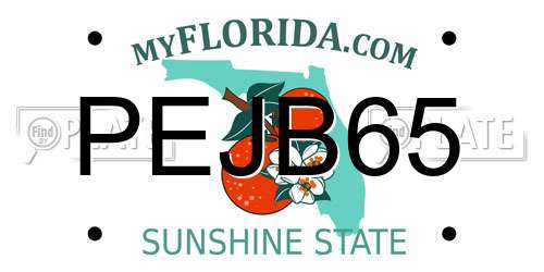 PEJB65 Florida License Plate