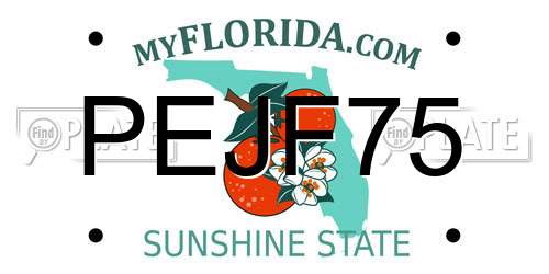 PEJF75 Florida License Plate