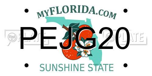 PEJG20 Florida License Plate