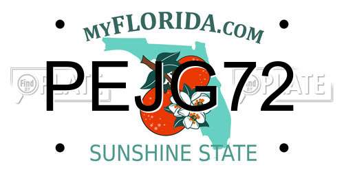 PEJG72 Florida License Plate