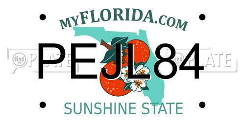 PEJL84 Florida License Plate