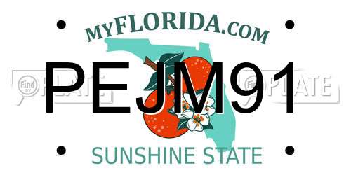 PEJM91 Florida License Plate